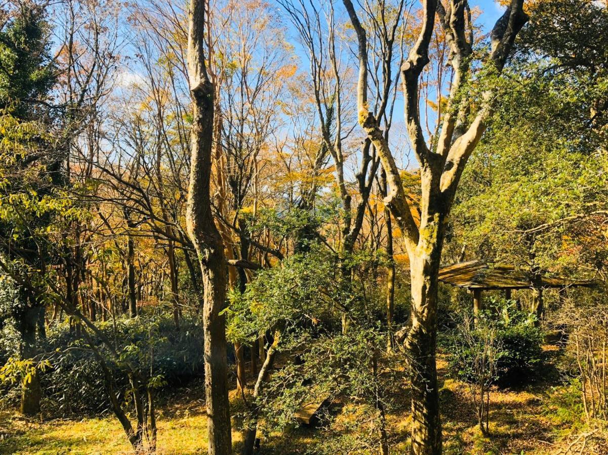 Hotel Hakone Ashinoko Toranoyu Zewnętrze zdjęcie